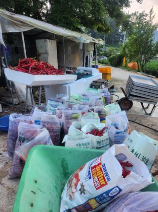 이덕우님의 고추 · 영농일지 작성글 사진