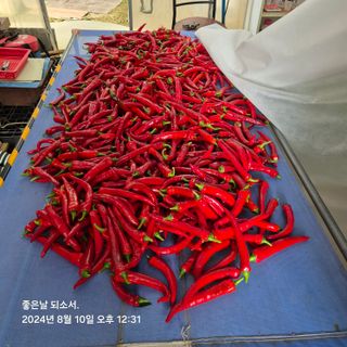 김진님의 자유주제 · 자유게시판 작성글 사진