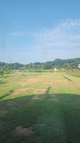 팜모닝 기타작물·영농일지 게시글 이미지