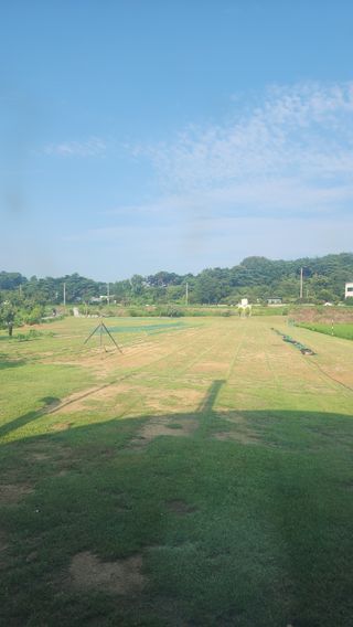 최대한님의 기타작물 · 영농일지 작성글 사진