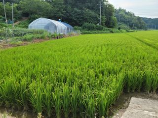 이순규님의 벼 · 영농일지 작성글 사진