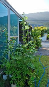 팜모닝 자유주제·자유게시판 게시글 이미지