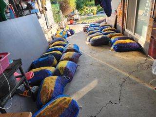 고흥거금도농부님의 고추 · 영농일지 작성글 사진