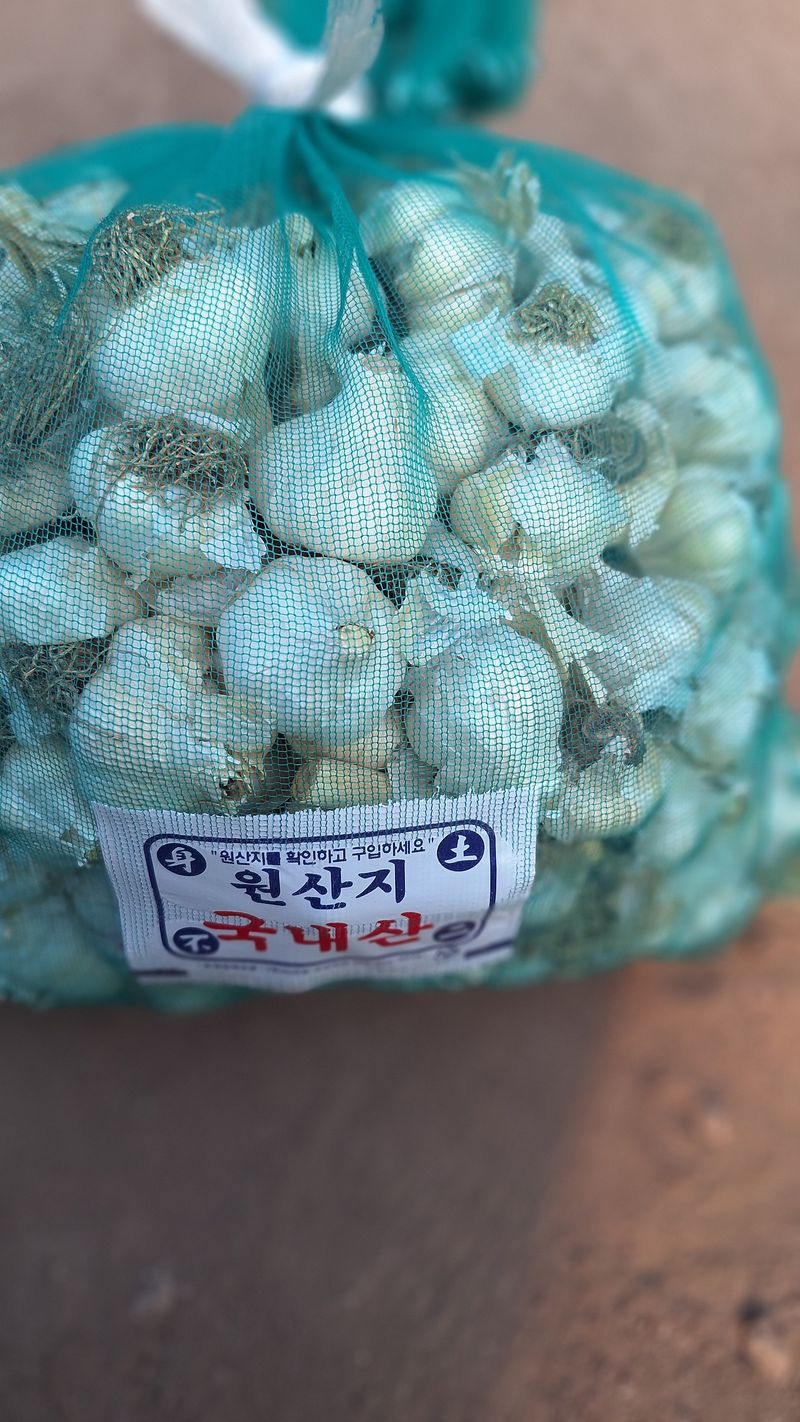 오남현님의 장터 판매 상품 [마늘2접] 첨부 사진