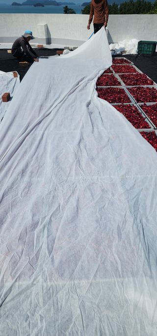 고추농사 정 미라님의 자유주제 · 자유게시판 작성글 사진