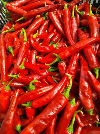 참깨6080님의 ☀️8월 농작업 계획 · 참여글 작성글 사진