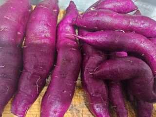 법선님의 자유주제 · 자유게시판 작성글 사진