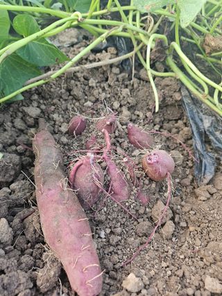 법선님의 자유주제 · 자유게시판 작성글 사진