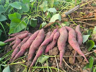 법선님의 자유주제 · 자유게시판 작성글 사진