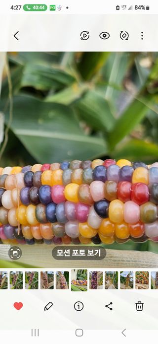 법선님의 자유주제 · 자유게시판 작성글 사진