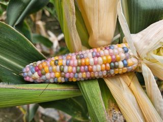 법선님의 자유주제 · 자유게시판 작성글 사진