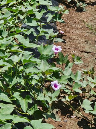 법선님의 자유주제 · 자유게시판 작성글 사진