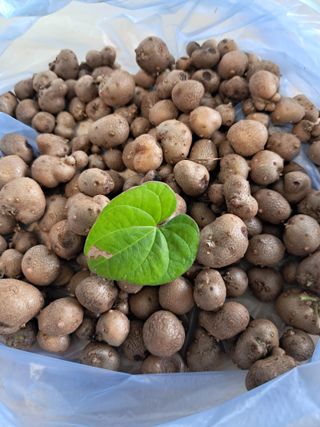 장은주님의 자유주제 · 자유게시판 작성글 사진