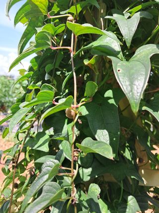 장은주님의 자유주제 · 자유게시판 작성글 사진