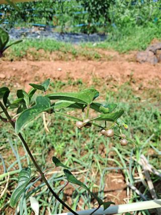 장은주님의 자유주제 · 자유게시판 작성글 사진
