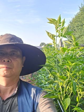 화니네농장님의 고추 · 영농일지 작성글 사진