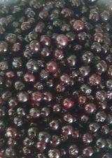 팜모닝 자유주제·자유게시판 게시글 이미지