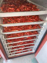 팜모닝 고추·영농일지 게시글 이미지