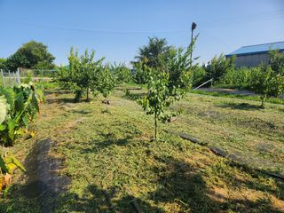 참가죽님의 기타작물 · 영농일지 작성글 사진