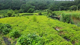 살구나무님의 자유주제 · 자유게시판 작성글 사진