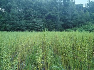 다소농원님의 자유주제 · 자유게시판 작성글 사진