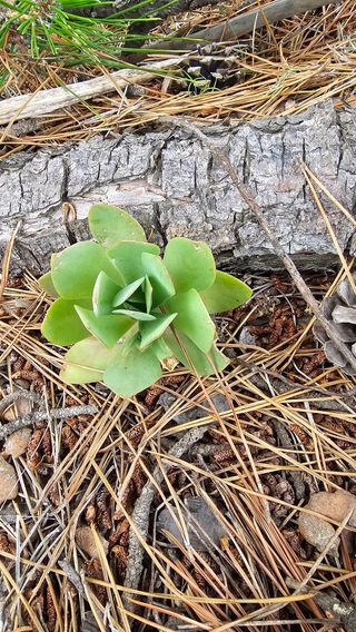 장철식님의 자유주제 · 자유게시판 작성글 사진