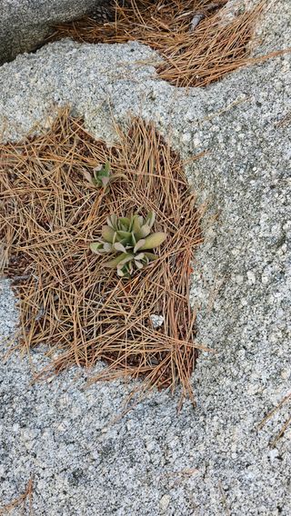 장철식님의 자유주제 · 자유게시판 작성글 사진