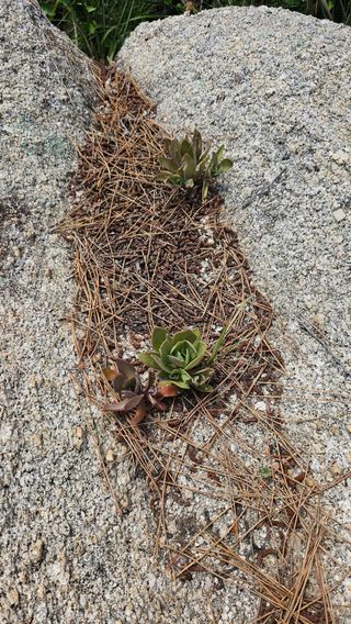 장철식님의 자유주제 · 자유게시판 작성글 사진