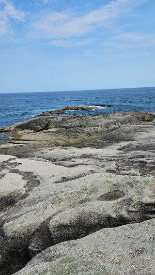 장철식님의 자유주제 · 자유게시판 작성글 사진