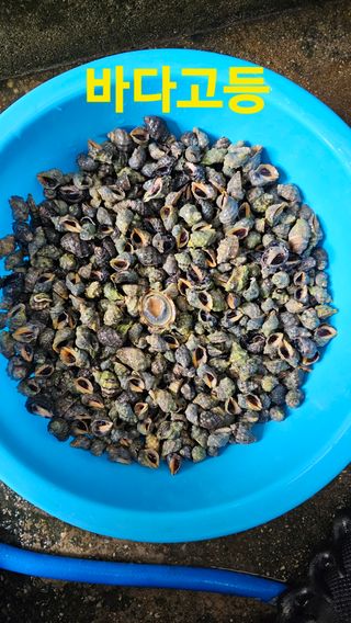 장철식님의 자유주제 · 자유게시판 작성글 사진