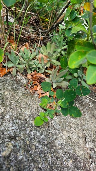 장철식님의 자유주제 · 자유게시판 작성글 사진