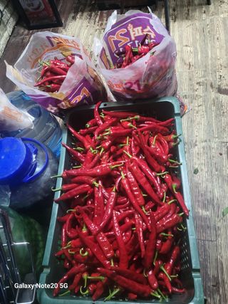 정창훈님의 ☀️8월 농작업 계획 · 참여글 작성글 사진