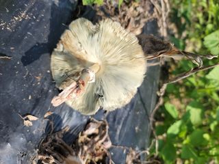 김순례님의 자유주제 · 자유게시판 작성글 사진