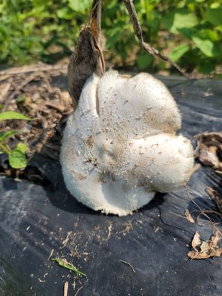 김순례님의 자유주제 · 자유게시판 작성글 사진