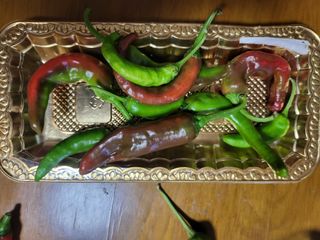 논산상월안정환님의 자유주제 · 자유게시판 작성글 사진