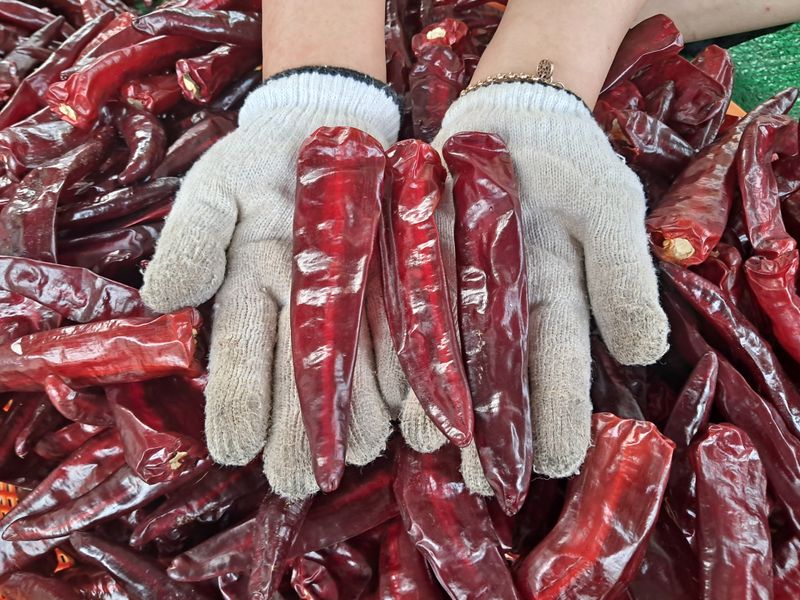 음두임님의 장터 판매 상품 [건고추(꼭지제거) 5근 3k] 첨부 사진