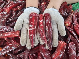 음두임님의 작성글 사진