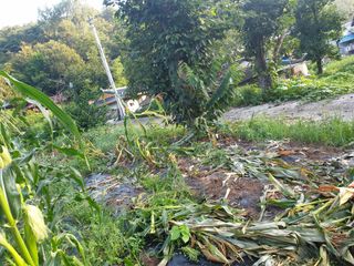 세미골곶감님의 자유주제 · 자유게시판 작성글 사진