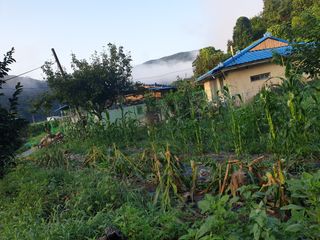 세미골곶감님의 자유주제 · 자유게시판 작성글 사진