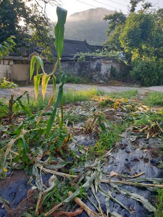 세미골곶감님의 자유주제 · 자유게시판 작성글 사진