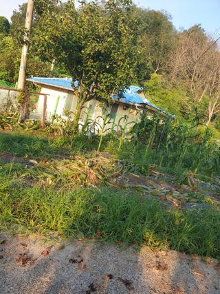 세미골곶감님의 자유주제 · 자유게시판 작성글 사진