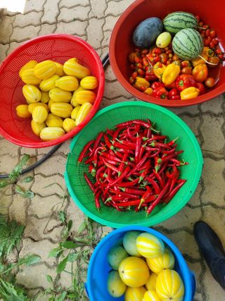 정민지호맘님의 기타작물 · 영농일지 작성글 사진