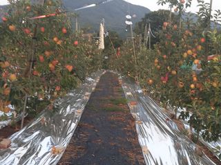 무주김근중님의 자유주제 · 자유게시판 작성글 사진