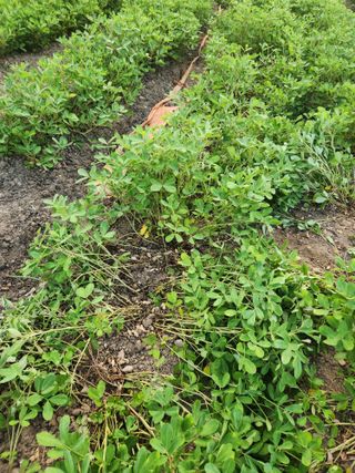 허정양님의 작성글 사진