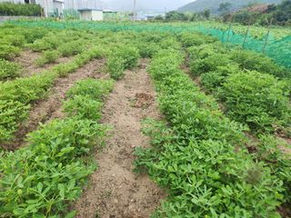 허정양님의 작성글 사진