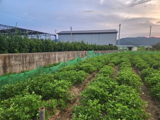 허정양님의 작성글 사진