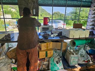 드라곤해드님의 자유주제 · 자유게시판 작성글 사진