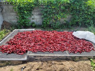 찬균park님의 자유주제 · 자유게시판 작성글 사진