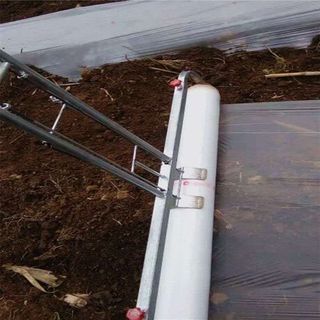 바이털사인님의 작성글 사진