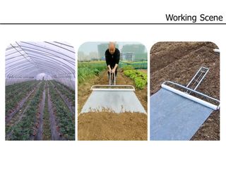 바이털사인님의 작성글 사진